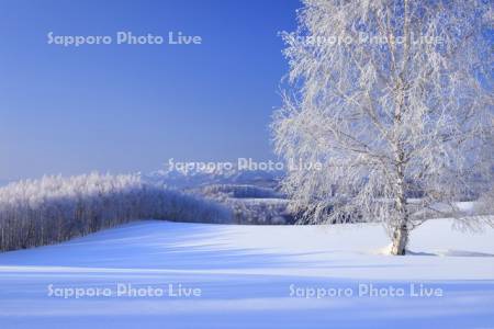 霧氷の丘陵地と芦別岳