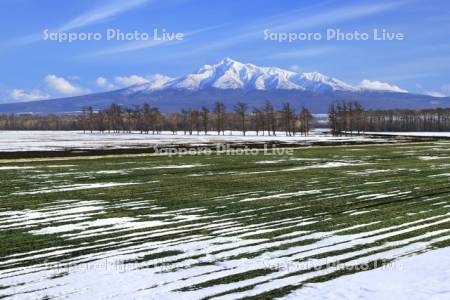 雪解けの大地と斜里岳