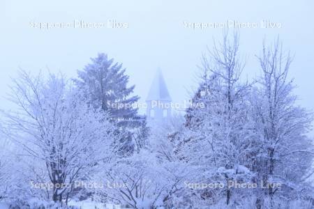 霧氷の美馬牛小学校