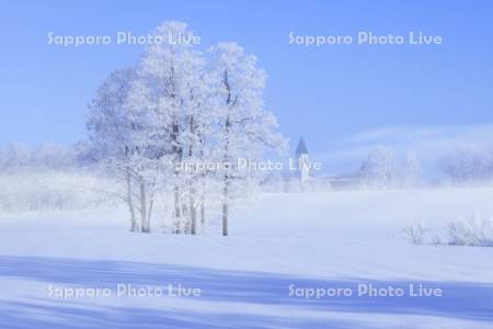 霧氷の木々と美馬牛小学校