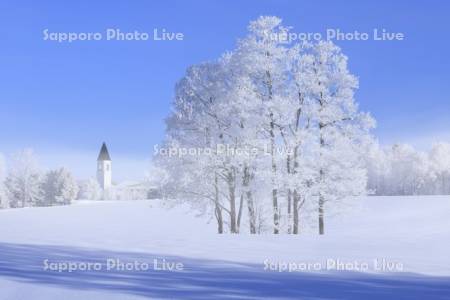 霧氷の木々と美馬牛小学校