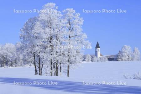 霧氷の木々と美馬牛小学校