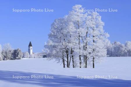 霧氷の木々と美馬牛小学校