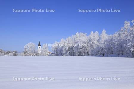霧氷の木々と美馬牛小学校