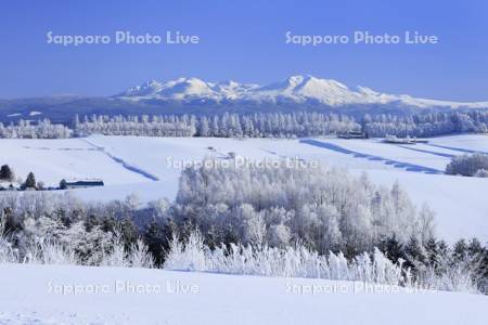 新栄の丘から見る風景
