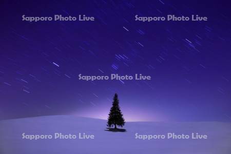 一本の木と星空（クリスマスツリーの木）
