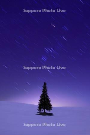 一本の木と星空（クリスマスツリーの木）