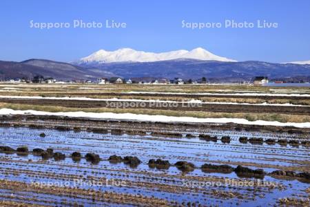 水田と大雪山