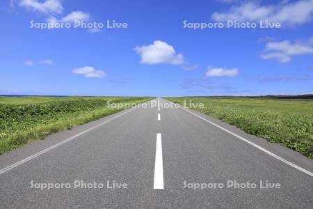 直線道路　道道106号　オロロンライン