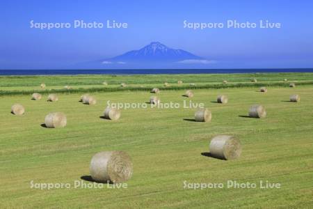 牧草ロールと利尻山