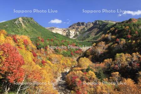十勝岳連峰の紅葉