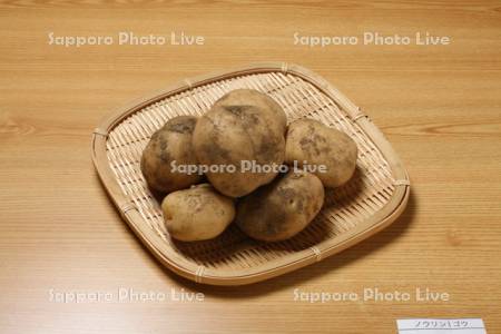 ジャガイモ　ノウリン1号