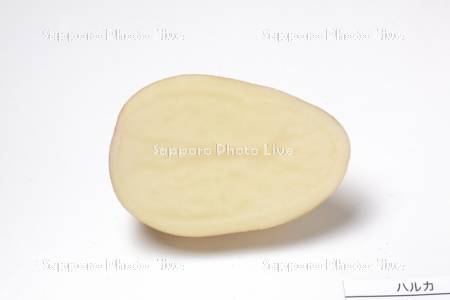 ジャガイモ　ハルカ