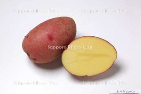 ジャガイモ　レッドムーン