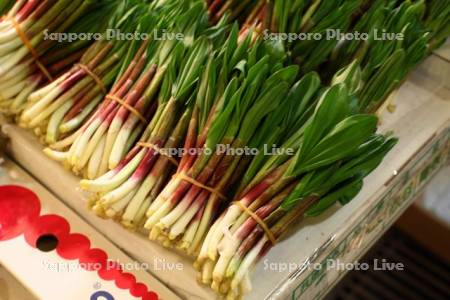 ギョウジャニンニク