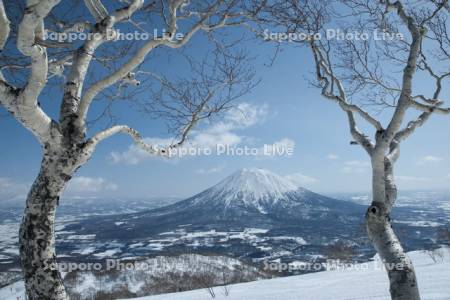 アンヌプリより羊蹄山