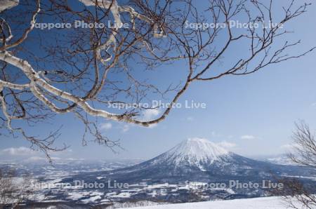 アンヌプリより羊蹄山