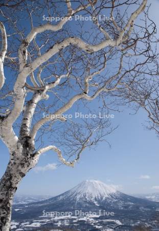 アンヌプリより羊蹄山