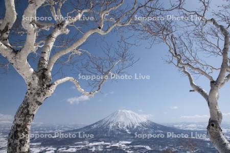 アンヌプリより羊蹄山