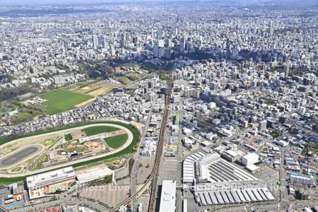 札幌競馬場～桑園駅～札幌駅