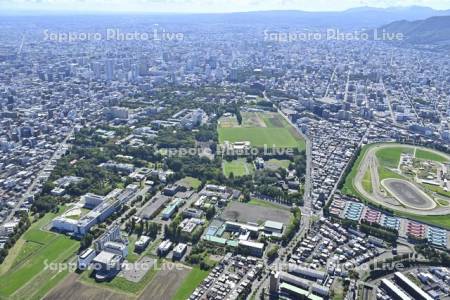 競馬場～北大～札幌駅