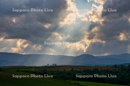 新栄の丘　光芒