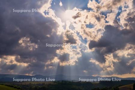 新栄の丘　光芒