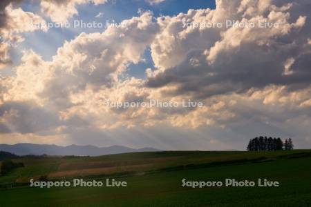 新栄の丘の光芒