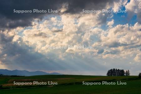 新栄の丘の光芒