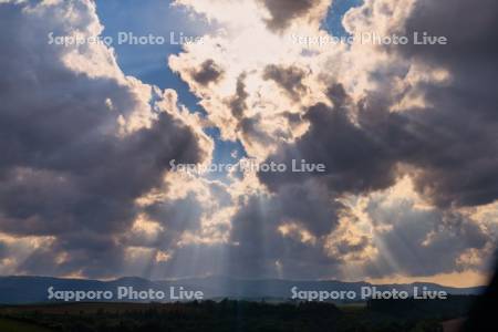 新栄の丘の光芒