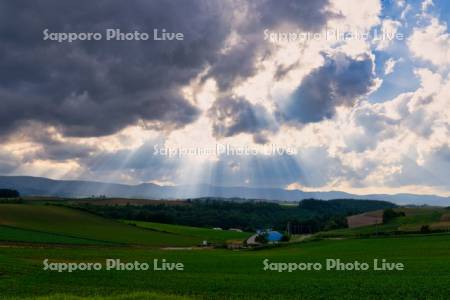 新栄の丘の光芒