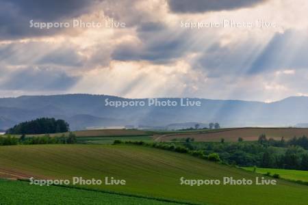 新栄の丘の光芒