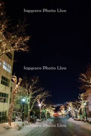 八幡坂　イルミネーション