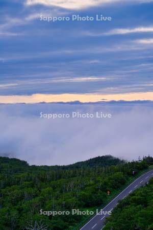 知床横断道路（R334）と雲海