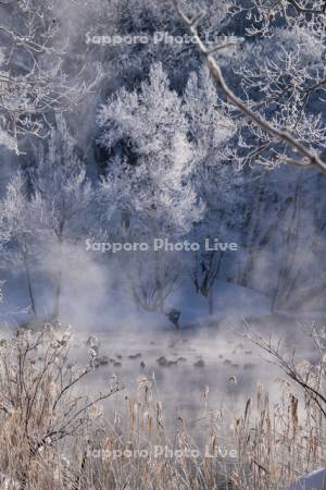 鳥沼公園のけあらし