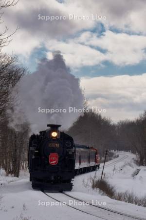 SL冬の湿原号