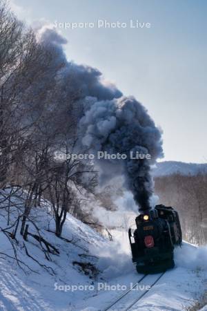 SL冬の湿原号