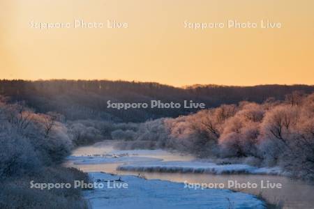 雪裡川とタンチョウ