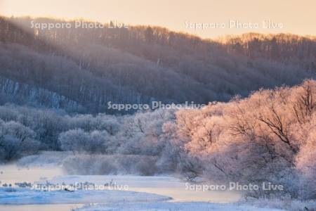 雪裡川とタンチョウ