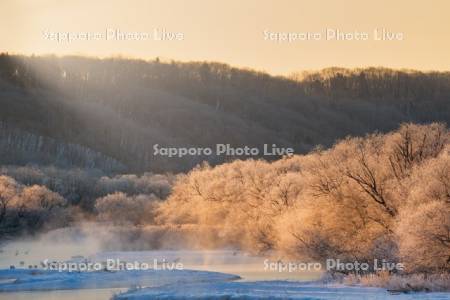 雪裡川とタンチョウ
