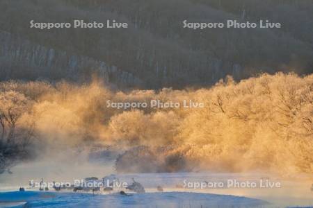 雪裡川とタンチョウ