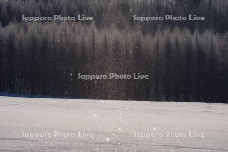 ダイヤモンドダスト