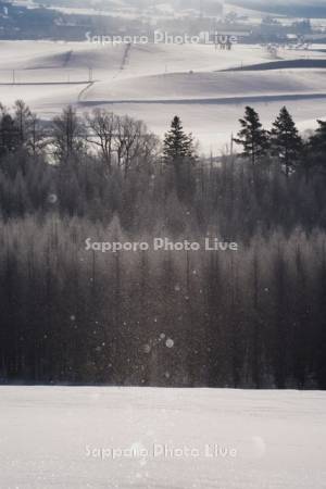 ダイヤモンドダストと畑