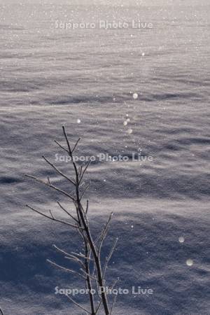 ダイヤモンドダストと雪原