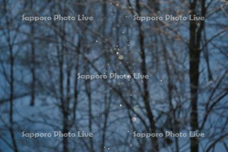 ダイヤモンドダスト