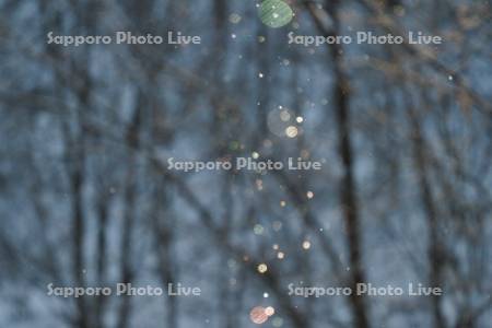 ダイヤモンドダスト