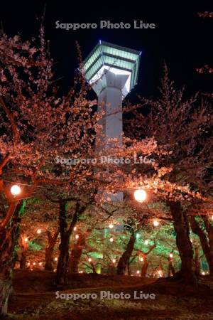 五稜郭タワーと夜桜