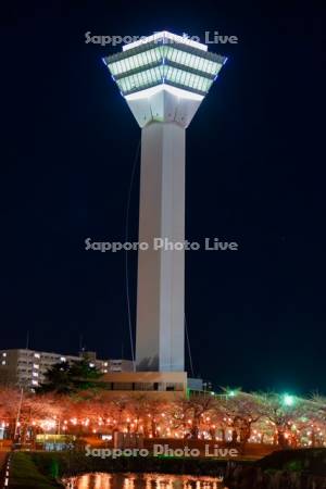 五稜郭タワーと夜桜