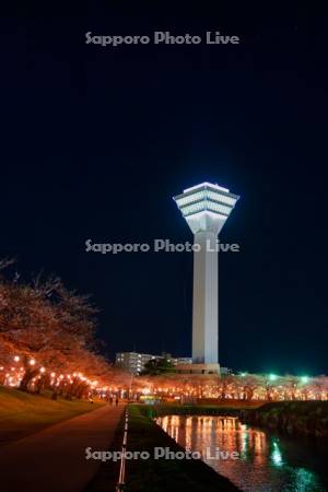 五稜郭タワーと夜桜
