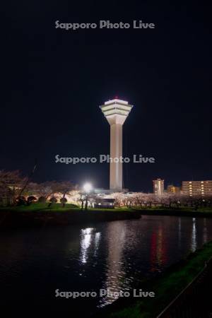 五稜郭タワーと夜桜